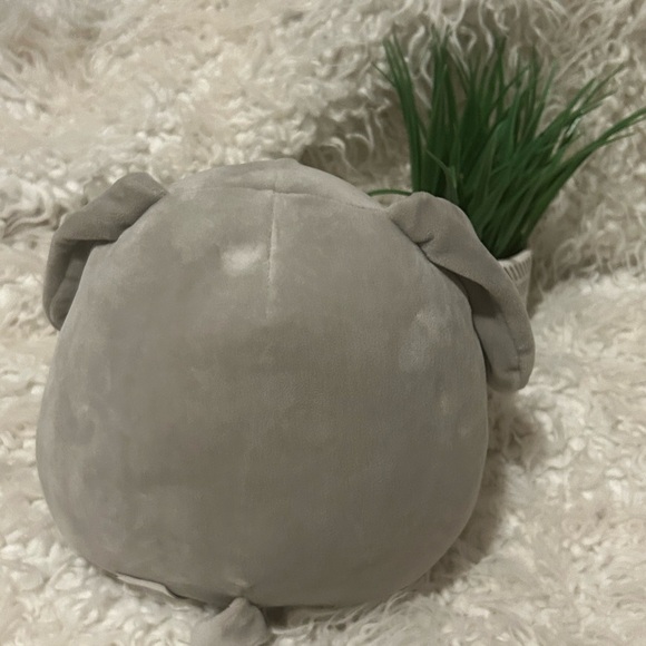 Blake the Bunny Easter/Spring 8 inch with Pattern Tummy Squishmallow 50% off w♥️ - Picture 2 of 4